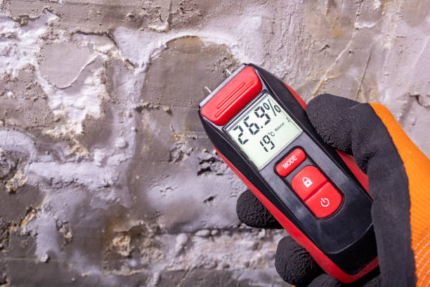 Oliver, PA Mold Removal Company