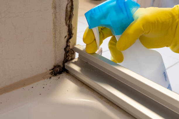 Best Certified Mold Removal  in Oliver, PA