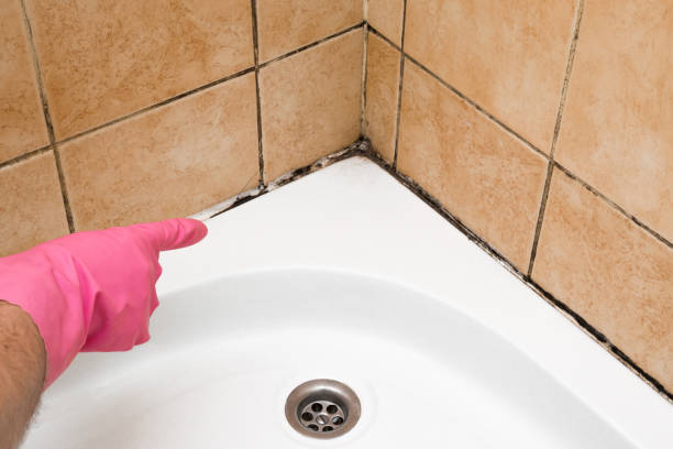Best Professional Mold Removal  in Oliver, PA